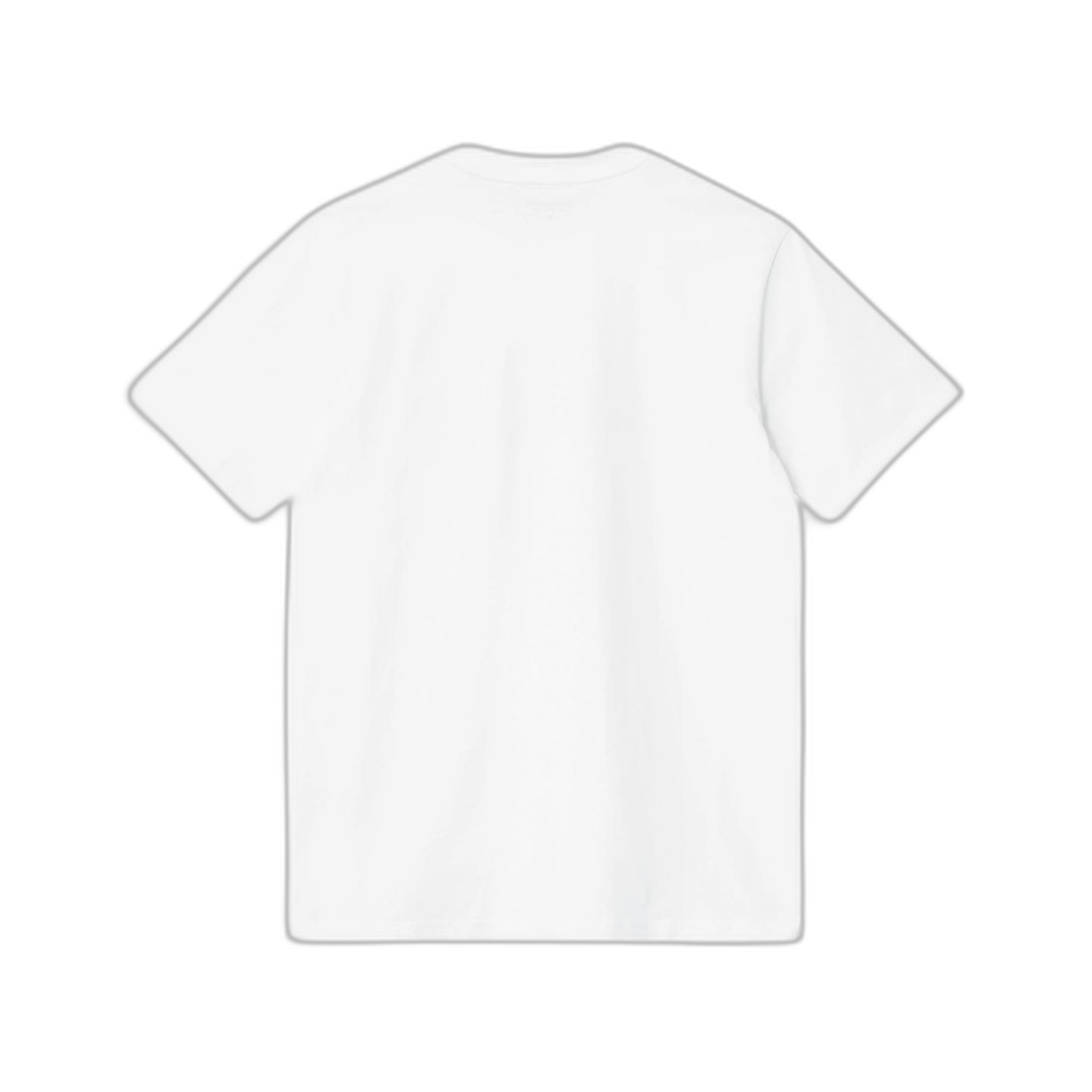 Carhartt WIP S/S Script T-Shirt White/Black