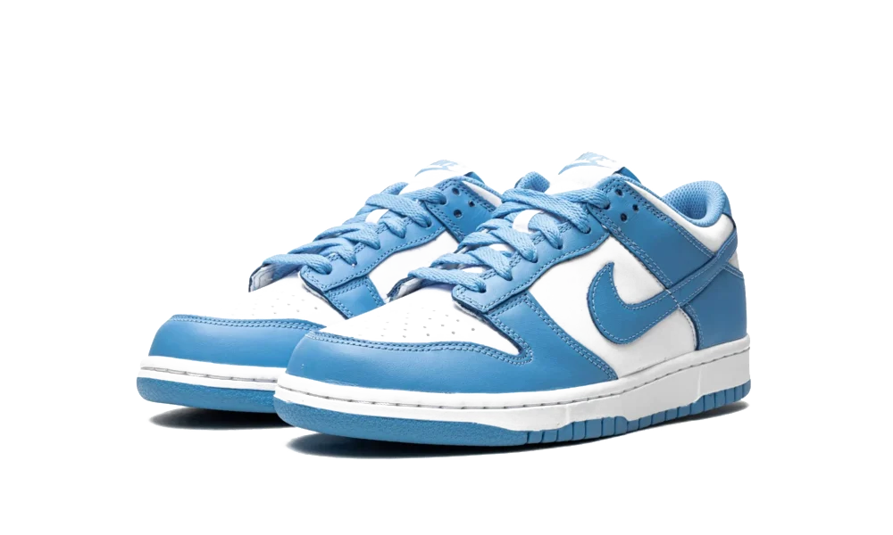 Nike Dunk Low UNC