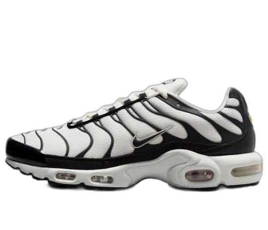 Nike Air Max Plus Panda
