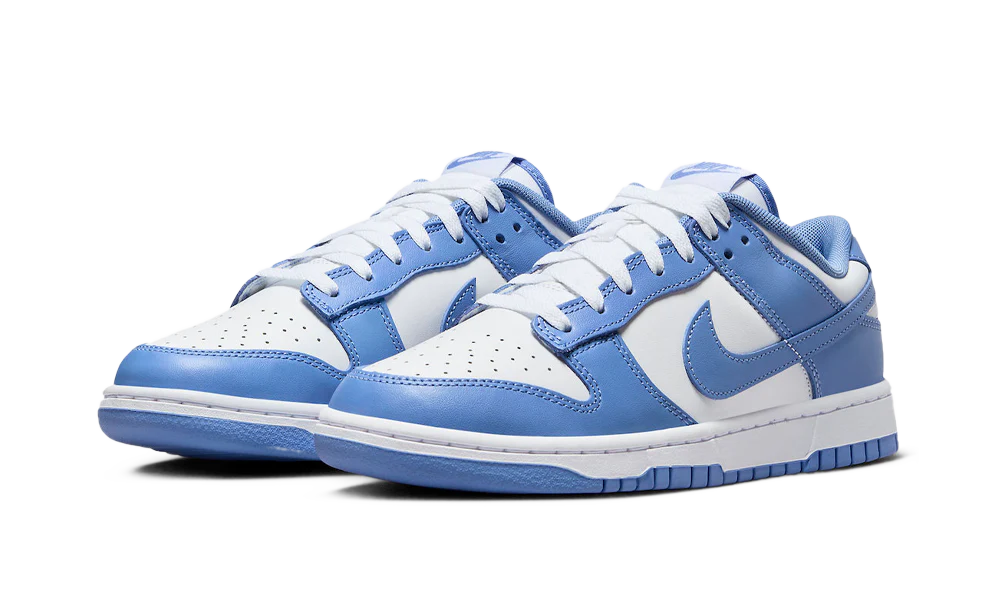 Nike Dunk Low Polar Blue