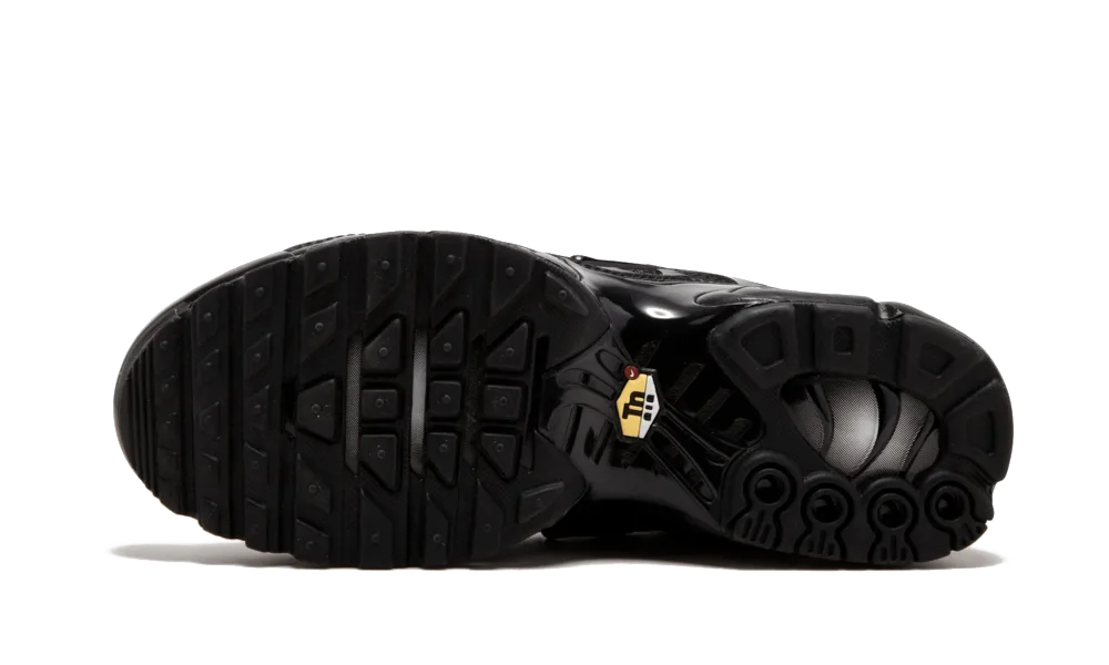 Nike Air Max Plus Triple Black